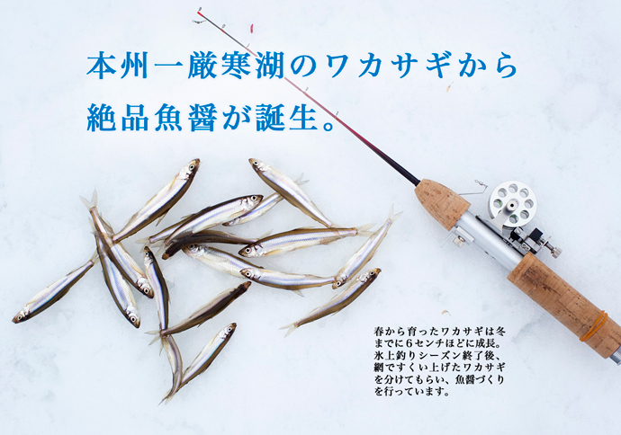 本州一厳寒湖のワカサギから魚醤が誕生